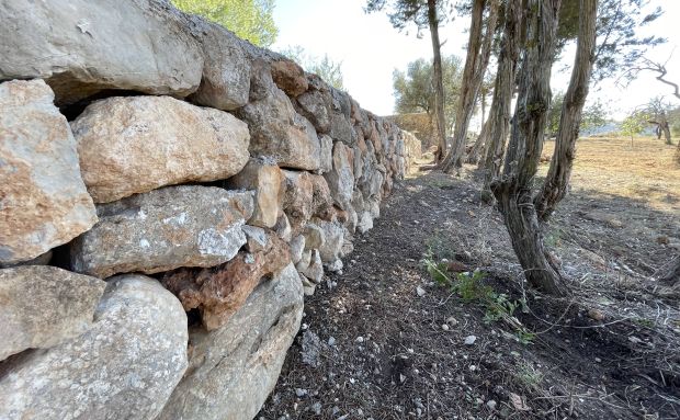 El dissabte finalitza el termini per a demanar les ajudes per a la millora de l'entorn rural que inclouen des de parets de pedra a ‘trulls’ passant per sínies, aljubs o molins