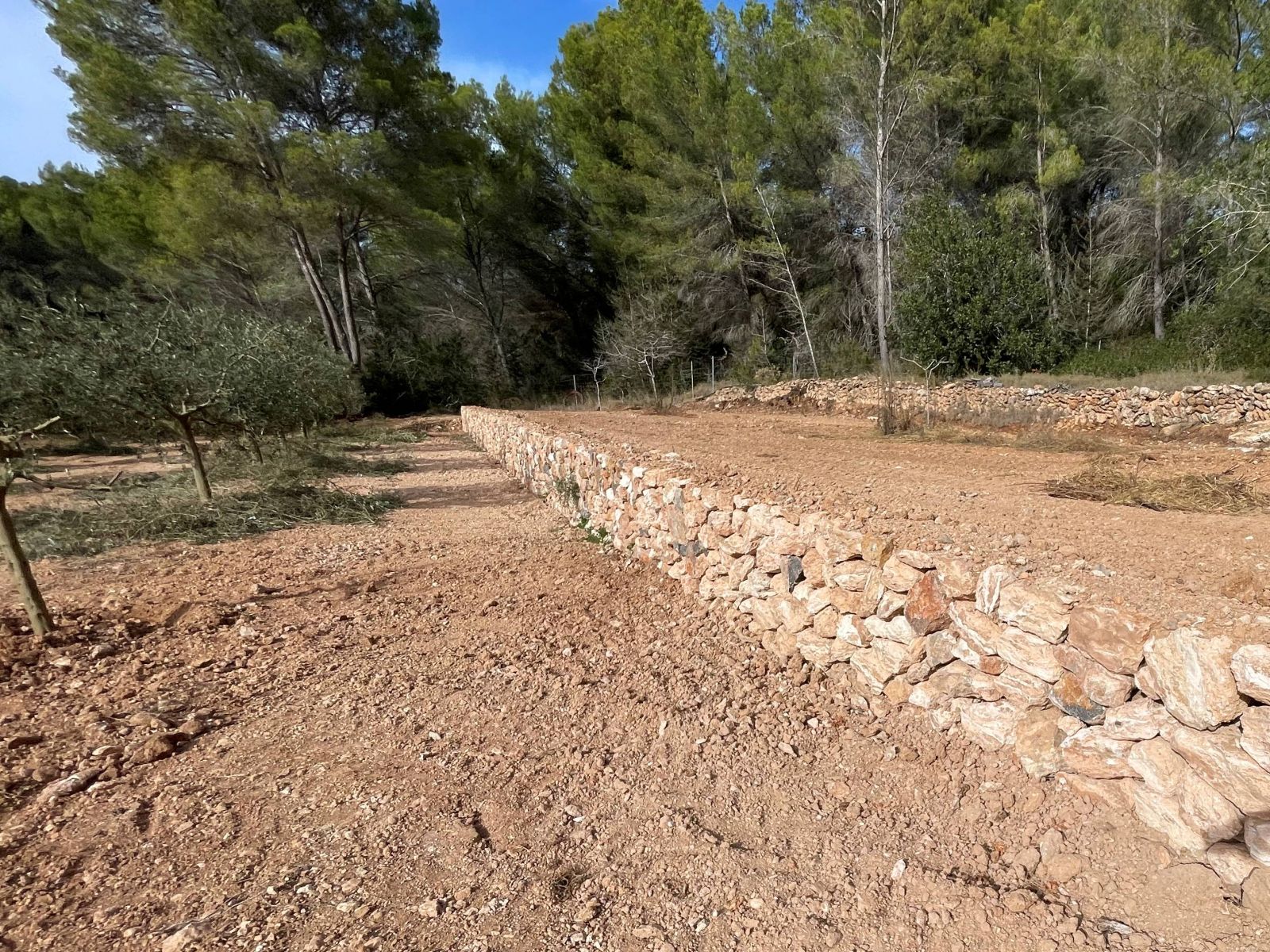 Convocades les ajudes per a la millora de l'entorn rural que inclouen des de parets de pedra a trulls passant per sínies, aljubs o molins