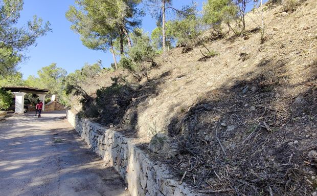 Ajuts de fins a 3.000 euros per a la creació de faixes d'autoprotecció contra incendis al municipi de Santa Eulària des Riu per a l'any 2022