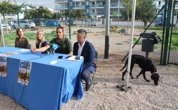 Santa Eulària des Riu inicia l'elaboració d'un cens d'ADN de cans per a lluitar contra els excrements no recollits, l'abandó de ventrades i els atacs a altres animals