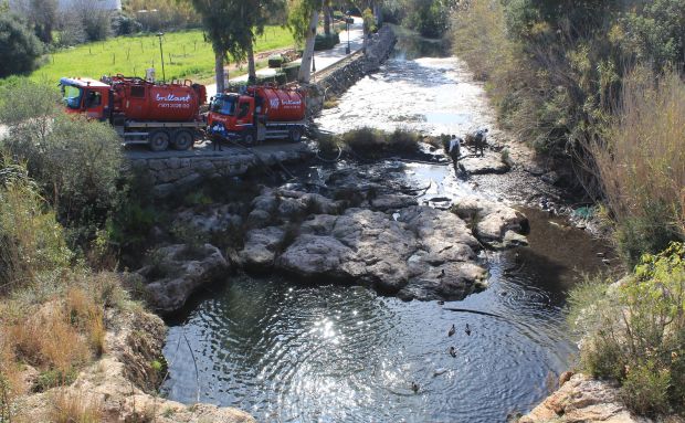 La setmana vinent es realitzarà una neteja de sa Font d’en Lluna per a retirar posidònia