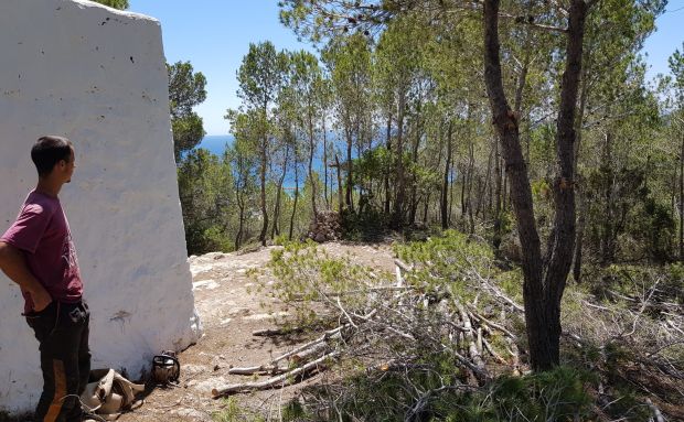 Surt a licitació la creació de 7,6 hectàrees de faixes anti incendi per protegir zones des Figueral i es Cap Martinet