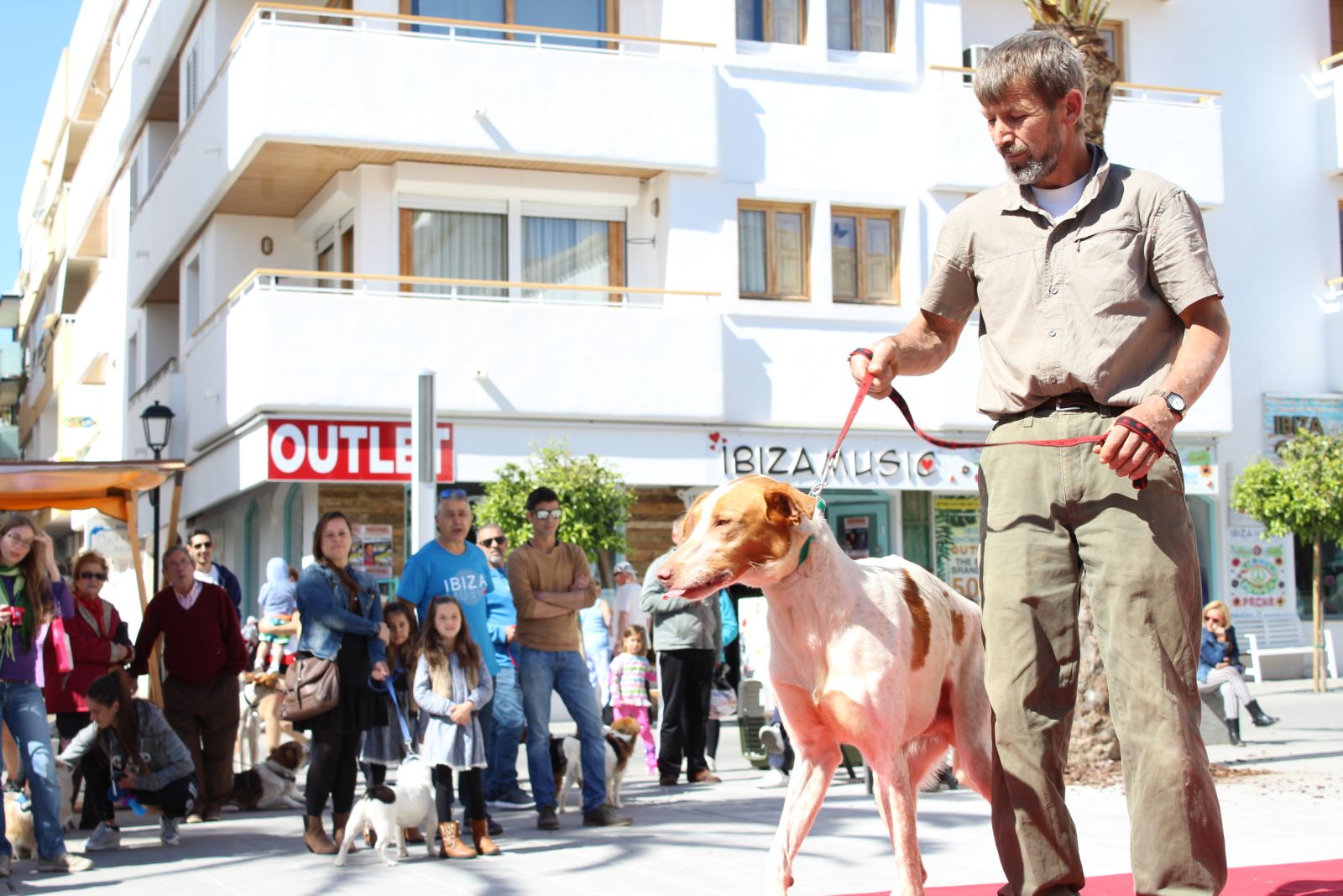 Santa Eulària des Riu inicia els tràmits per a elaborar un cens municipal d'ADN de gossos per a lluitar contra els excrements no recollits i els abandons de ventrades