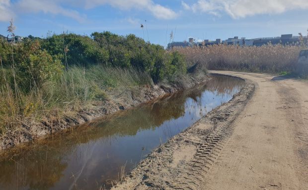 Finalitzada la neteja de canals i camins de ses Feixes des Prat de ses Monges i el torrent de Jesús