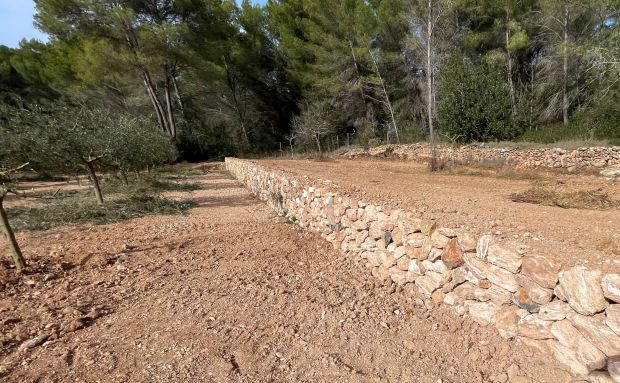 Convocades les ajudes per a la millora de l'entorn rural que inclouen des de parets de pedra a trulls passant per sínies, aljubs o molins