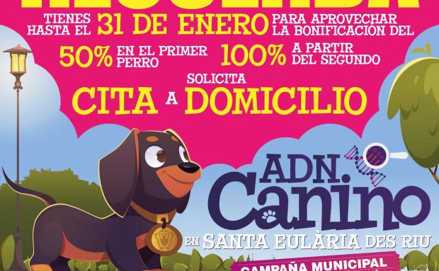 Santa Eulària des Riu s'acosta al miler de cans en el sistema del cens genètic d'ADN caní municipal