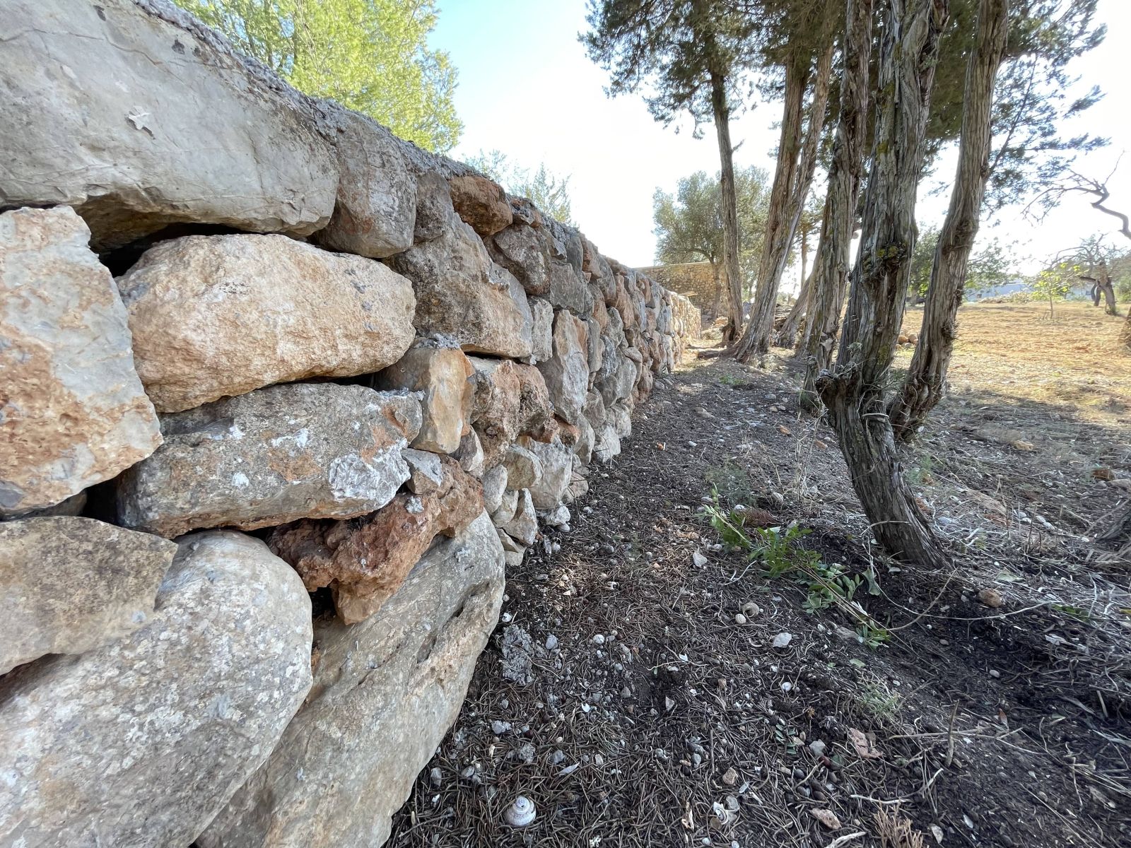 El dissabte finalitza el termini per a demanar les ajudes per a la millora de l'entorn rural que inclouen des de parets de pedra a ‘trulls’ passant per sínies, aljubs o molins