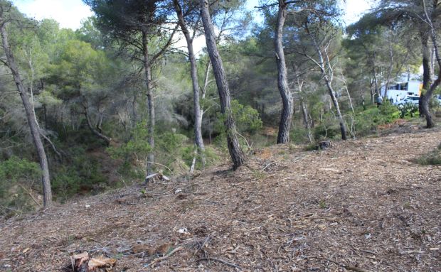 Adjudicades provisionalment una desena d'ajuts a particulars per executar faixes de protecció contra incendis