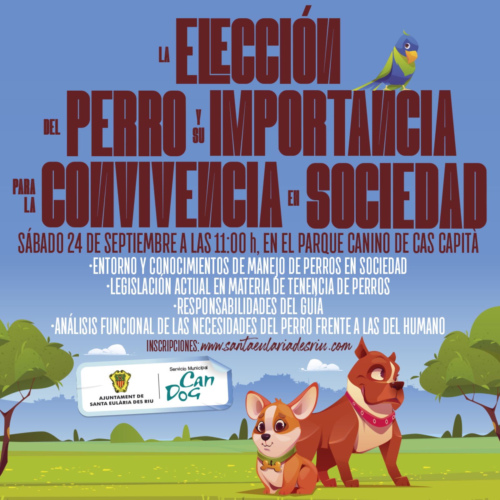 Medio Ambiente organiza en el parque canino de Cas Capità un taller para la correcta elección de los perros en adopción y su convivencia en la sociedad