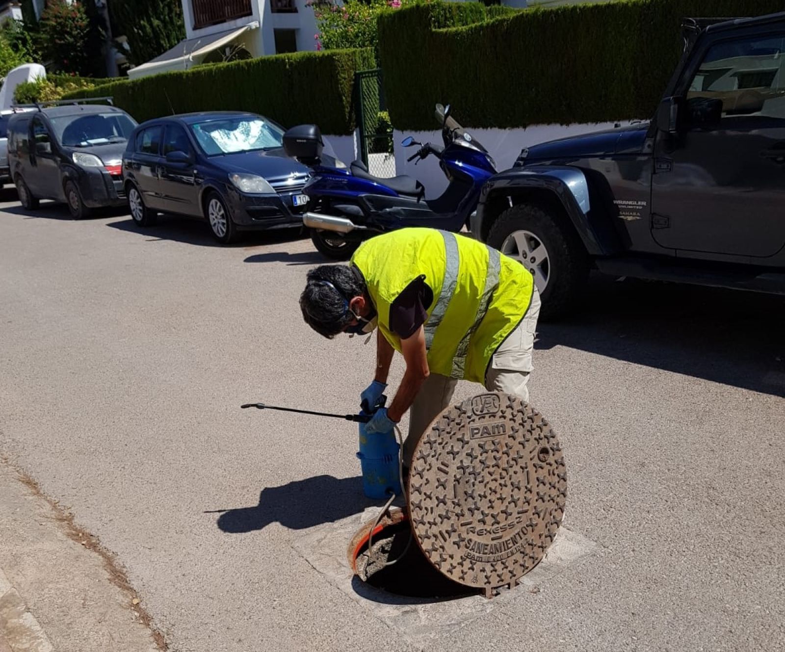 Medi Ambient realitza una campanya de reforç del control de plagues d'insectes i rosegadors