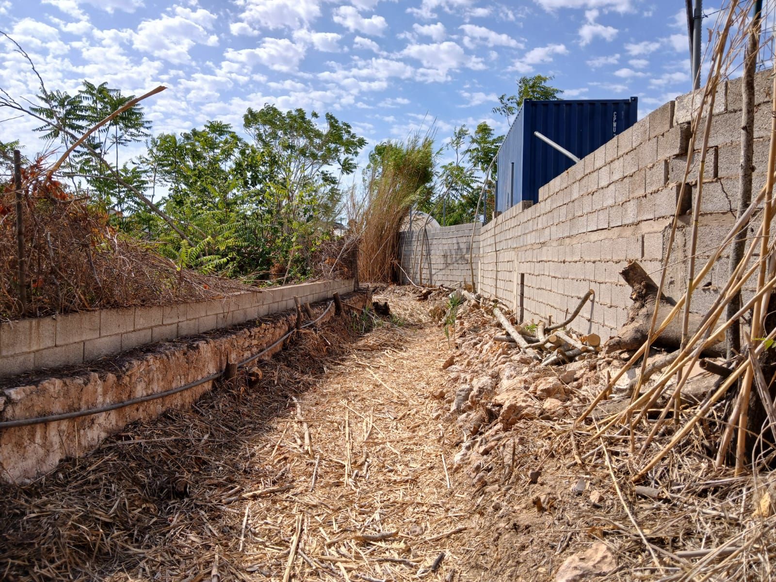 L'Ajuntament de Santa Eulària esbrossa i condiciona camins i canals de ses Feixes des Prat de ses Monges i de la Séquia de sa Llavanera