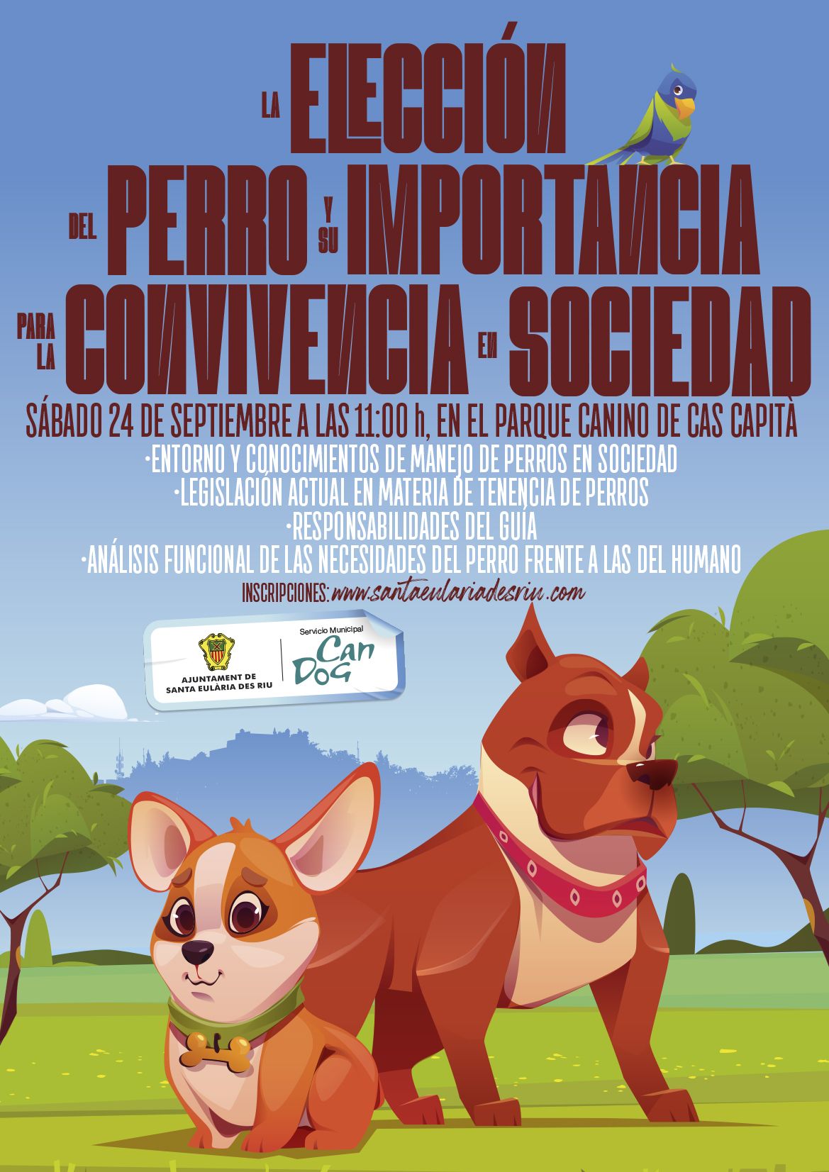 Medio Ambiente organiza en el parque canino de Cas Capità un taller para la correcta elección de los perros en adopción y su convivencia en la sociedad