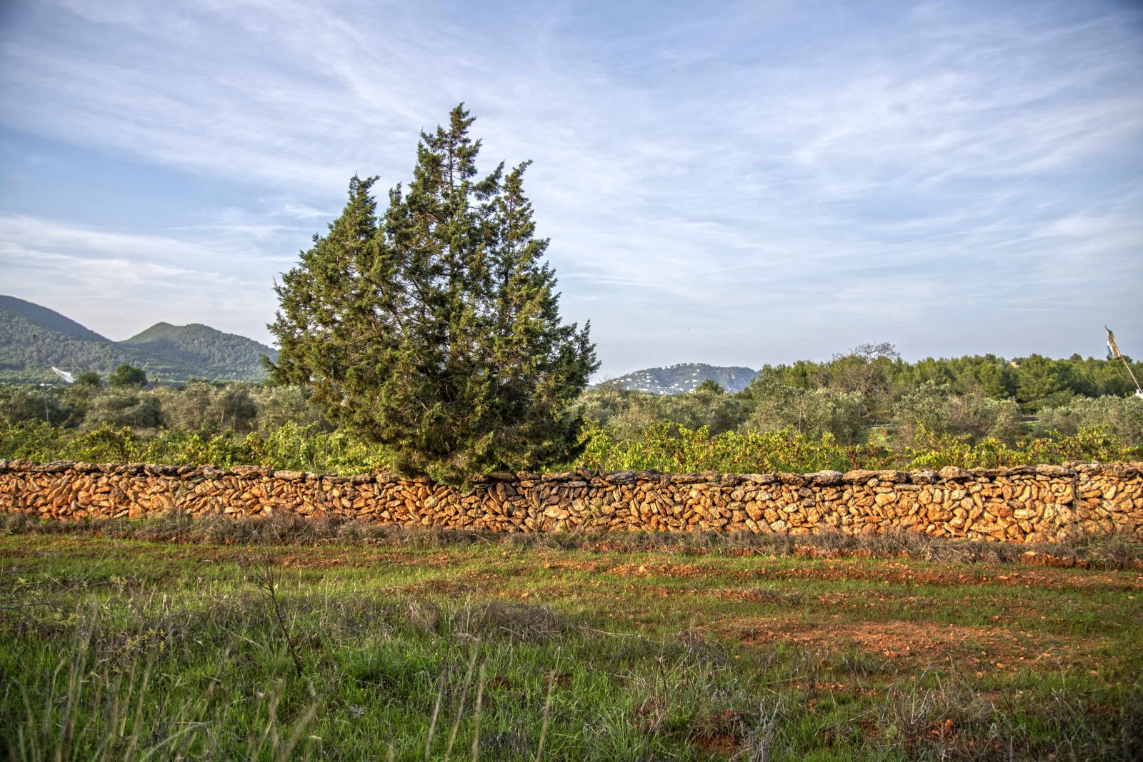 Convocades les ajudes per a la millora de l'entorn rural de Santa Eulària des Riu per a 2023