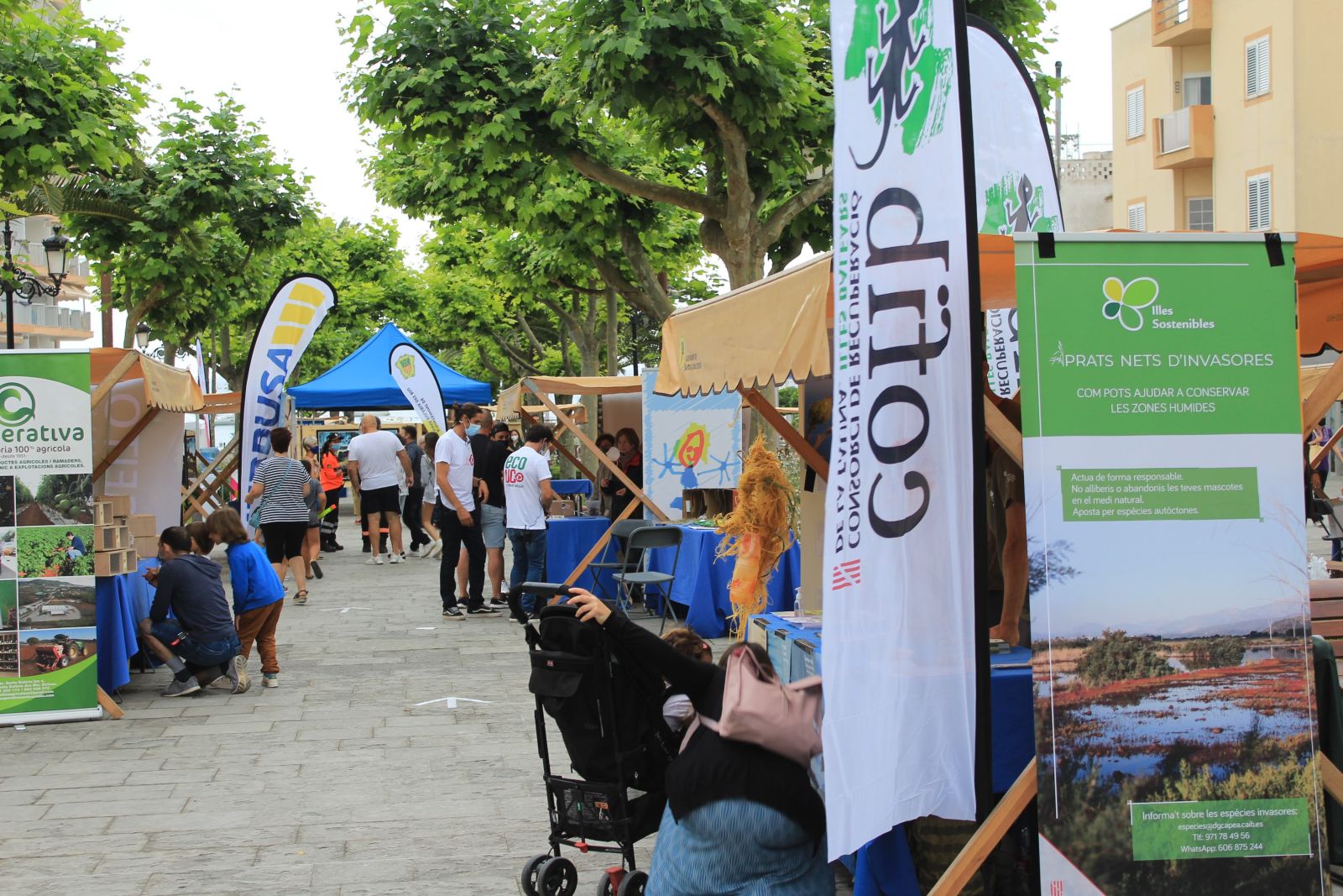 ECOUC tornarà a reunir al juny a administracions, ONG i empreses de gestió i productes sostenibles per commemorar el Dia Mundial del Medi Ambient