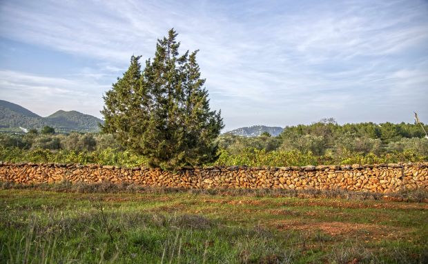 Convocades les ajudes per a la millora de l'entorn rural de Santa Eulària des Riu per a 2023