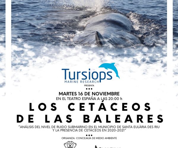 Conferencia este martes en el Teatro España sobre la presencia de cetáceos en la isla a través del proyecto ‘Els nostres dofíns’